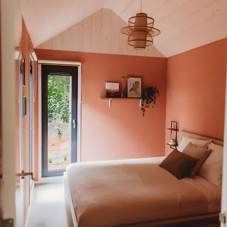 I Tiny House Met Zonnige Bostuin