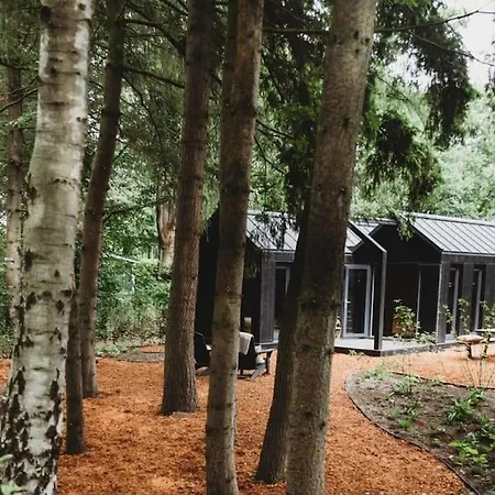 Holiday home I Tiny House Met Zonnige Bostuin