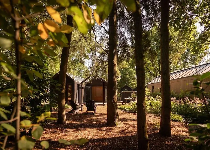 I Tiny House Met Zonnige Bostuin *