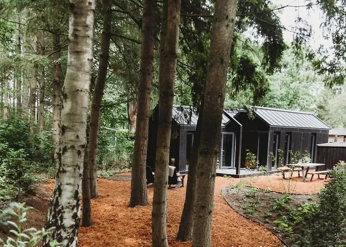 Holiday home I Tiny House Met Zonnige Bostuin